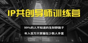 IP共创导师训练营 99%的人不知道的生财野路子 只掌握在少数人手里