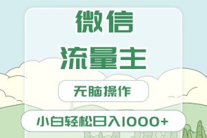 微信流量主最新玩法，小白轻松日入1000+