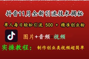 抖音11月全新引流技术，图片+视频 就能轻松制作创业类视频，单人每日轻松引流500+精准创业粉