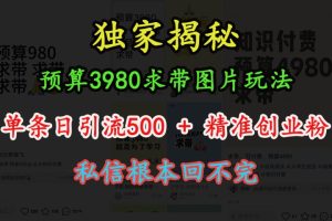 “小红书”预算3980求带 图片玩法，单条日引流500+精准创业粉，私信根本回不完